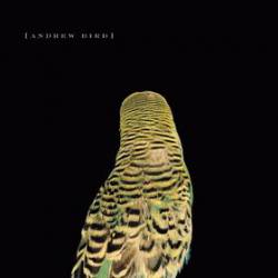 Andrew Bird : Armchair Apocrypha